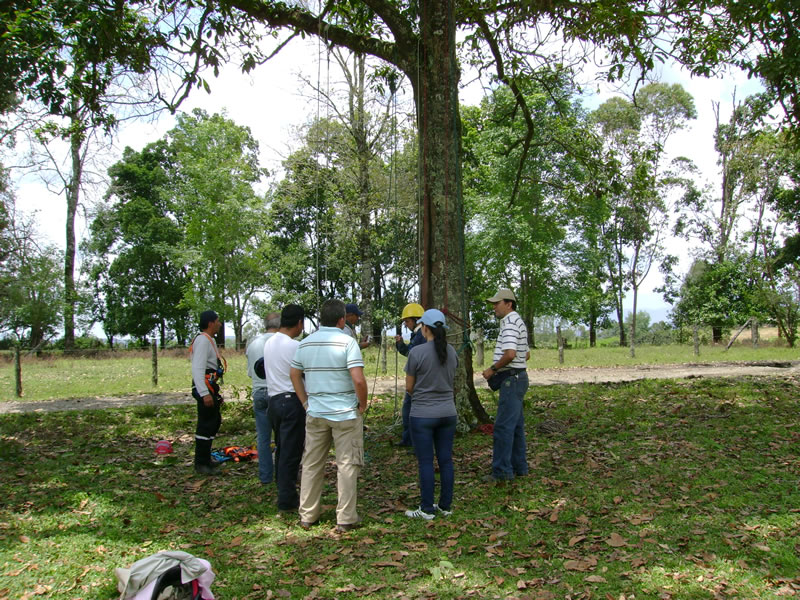 Curso intensivo recolección, evaluación y manejo de semillas forestales, programa de ingeniería forestal  universidad del Cauca,   marzo de 2011